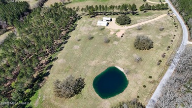 Welcome to 1021 Elarton Rd in Osyka, MS! This property offers - photo 13