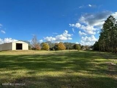 Welcome to 1021 Elarton Rd in Osyka, MS! This property offers - photo 18