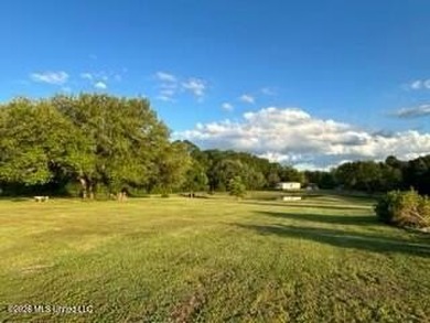 Welcome to 1021 Elarton Rd in Osyka, MS! This property offers - photo 19