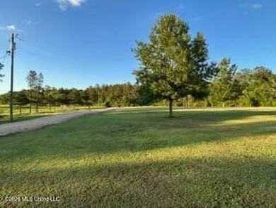 Welcome to 1021 Elarton Rd in Osyka, MS! This property offers - photo 20