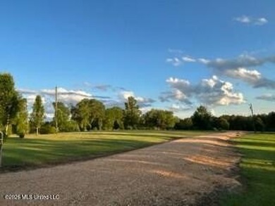 Welcome to 1021 Elarton Rd in Osyka, MS! This property offers - photo 21