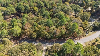 Discover your perfect retreat on this stunning .52-acre lot - photo 4