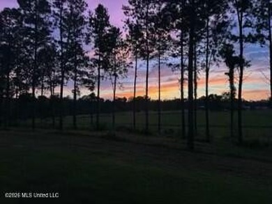 Welcome to 1021 Elarton Rd in Osyka, MS! This property offers - photo 24