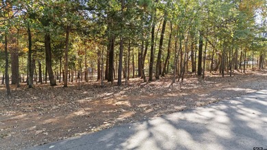 Discover your perfect retreat on this stunning .52-acre lot - photo 6