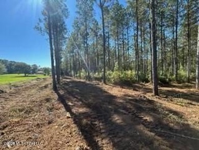 Welcome to 1021 Elarton Rd in Osyka, MS! This property offers - photo 27