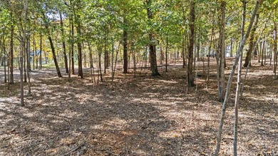 Discover your perfect retreat on this stunning .52-acre lot - photo 8