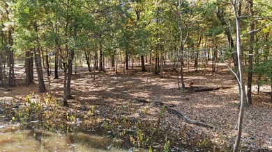 Discover your perfect retreat on this stunning .52-acre lot - photo 9