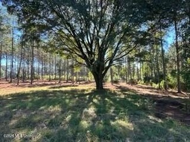 Welcome to 1021 Elarton Rd in Osyka, MS! This property offers - photo 29