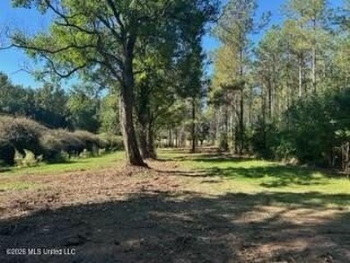 Welcome to 1021 Elarton Rd in Osyka, MS! This property offers - photo 30