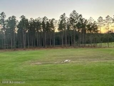 Welcome to 1021 Elarton Rd in Osyka, MS! This property offers - photo 32