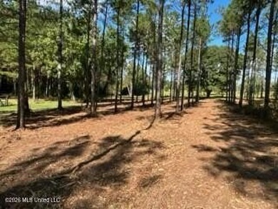 Welcome to 1021 Elarton Rd in Osyka, MS! This property offers - photo 33