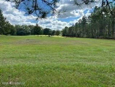 Welcome to 1021 Elarton Rd in Osyka, MS! This property offers - photo 34