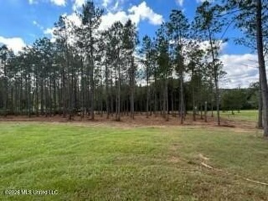 Welcome to 1021 Elarton Rd in Osyka, MS! This property offers - photo 35