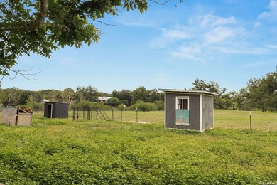 10.5+/- AG-EXEMPT ACRES | GUEST HOUSE | BARNS | ONE STREET FROM - photo 36