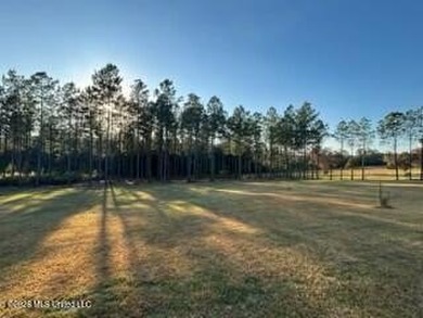 Welcome to 1021 Elarton Rd in Osyka, MS! This property offers - photo 38