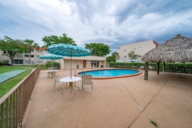 BEAUTIFUL REMODELED UNIT LOCATED IN SUNRISE LAKES PHASE 3, WITH - photo 38