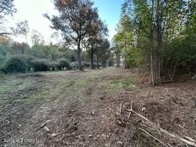Welcome to 1021 Elarton Rd in Osyka, MS! This property offers - photo 39