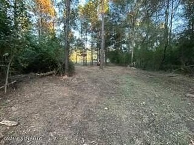 Welcome to 1021 Elarton Rd in Osyka, MS! This property offers - photo 40
