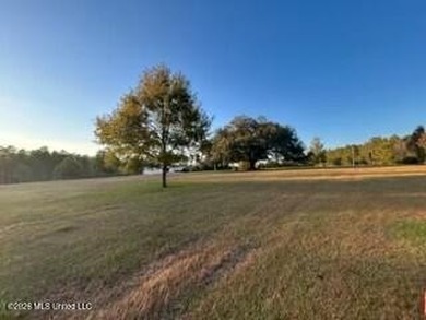 Welcome to 1021 Elarton Rd in Osyka, MS! This property offers - photo 41
