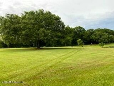 Welcome to 1021 Elarton Rd in Osyka, MS! This property offers - photo 42