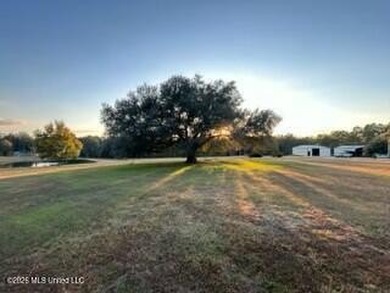 Welcome to 1021 Elarton Rd in Osyka, MS! This property offers - photo 43