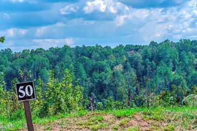 Lake Lot For Sale in Ellijay, Georgia