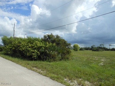 Discover the Perfect Location to Build Your Dream Home in NW - photo 4