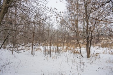 Look no further for your future building site or tranquil - photo 12