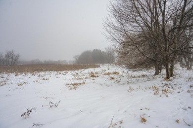 Look no further for your future building site or tranquil - photo 14