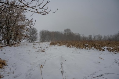 Look no further for your future building site or tranquil - photo 17