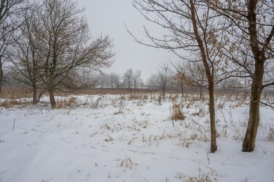 Look no further for your future building site or tranquil - photo 18