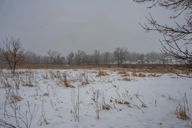 Look no further for your future building site or tranquil - photo 19
