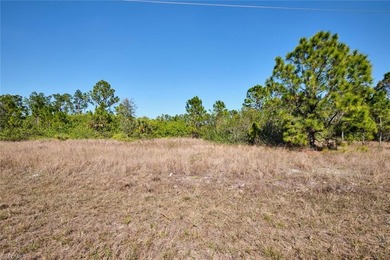 Lehigh Acres Area Lot For Sale in Lehigh Acres Florida
