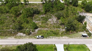 Lehigh Acres Area Lot For Sale in Lehigh Acres Florida