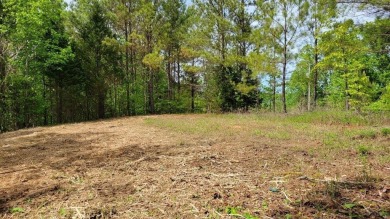 Lake Lot For Sale in Sparta, Tennessee