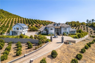 Positioned atop 20.22 fully fenced and gated acres, this stately - photo 3