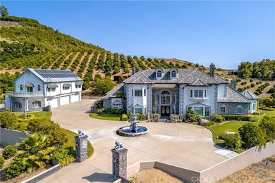 Positioned atop 20.22 fully fenced and gated acres, this stately - photo 5