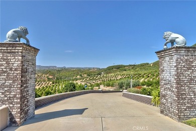 Positioned atop 20.22 fully fenced and gated acres, this stately - photo 8