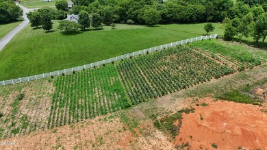 2.2 ACRES!! BUILD OPTIONS AVAILABLE!! One of the largest lots in - photo 3