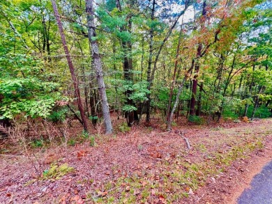 (private lake, pond, creek) Lot For Sale in Ellijay Georgia