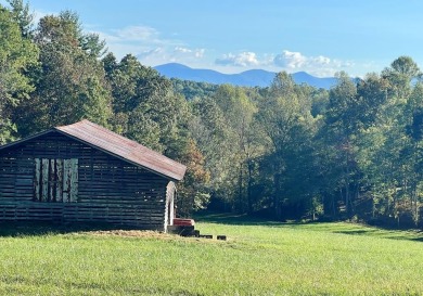 Lake Home For Sale in Blairsville, Georgia