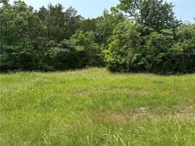 Lake Lot For Sale in Diamond City, Arkansas