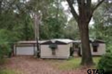 Lake Home For Sale in Chandler, Texas