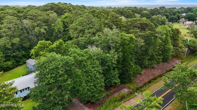 Build Your Dream Home Just Minutes from Carolina Beach! Don't - photo 4