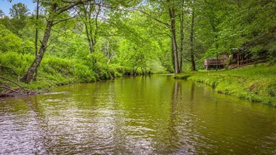 Tucked away on 3.3 acres of private, wooded serenity along 550 - photo 14
