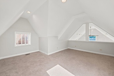 Sun-drenched duplex-up penthouse in the heart of Lakeview - photo 22