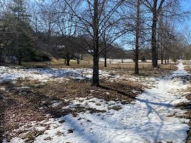 Table Rock Lake Lot For Sale in Hollister Missouri