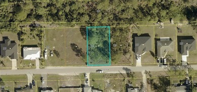 Lehigh Acres Area Lot For Sale in Lehigh Acres Florida