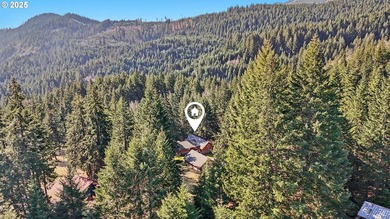 Welcome to your dream retreat at 232 Upper Lakeview Dr. This - photo 45