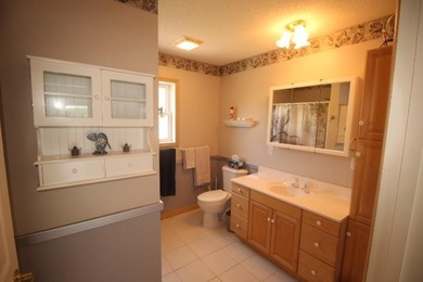 Welcome to Island Lake! This 3-bedroom, 2-bath home with 100 - photo 8